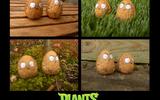Plants_vs_zombies_nuts_by_newhound